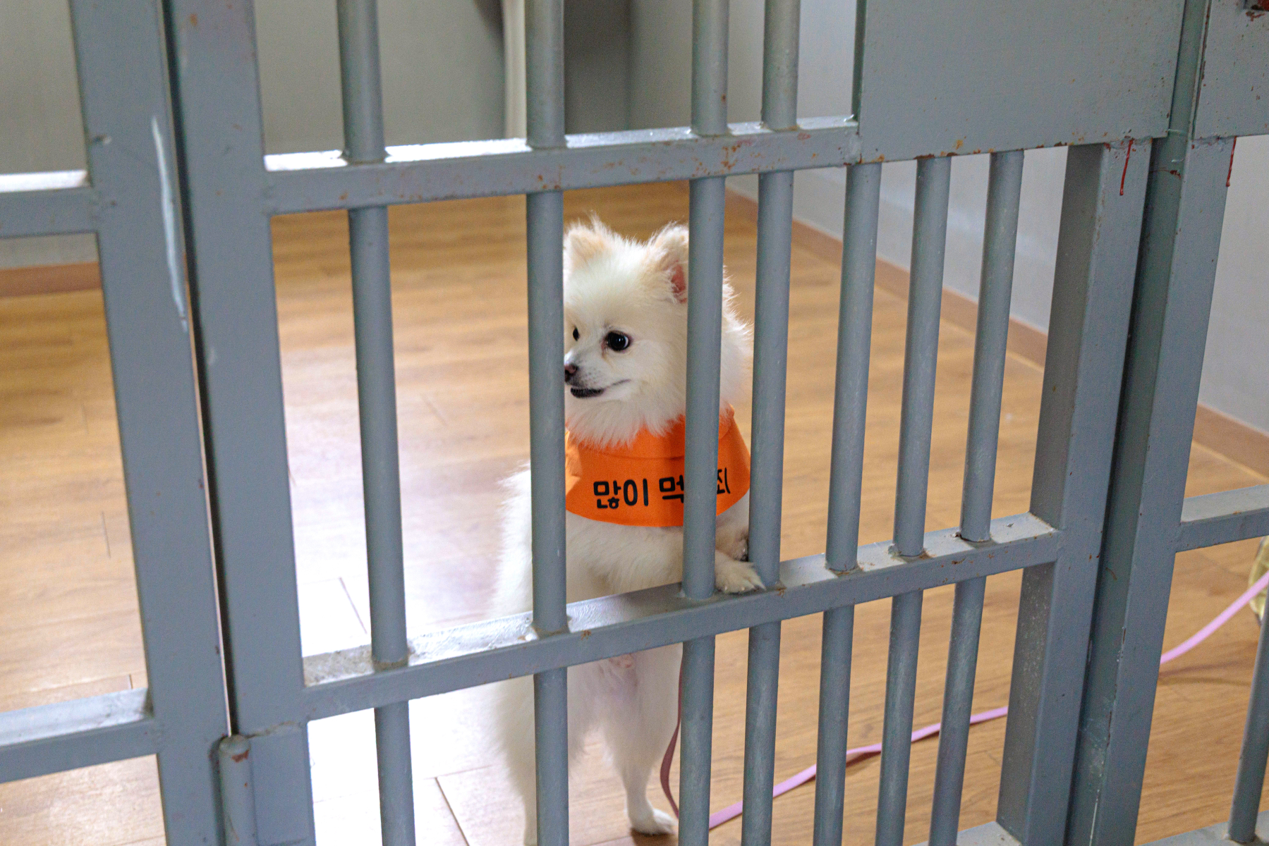 6_이상한 교도소.jpg