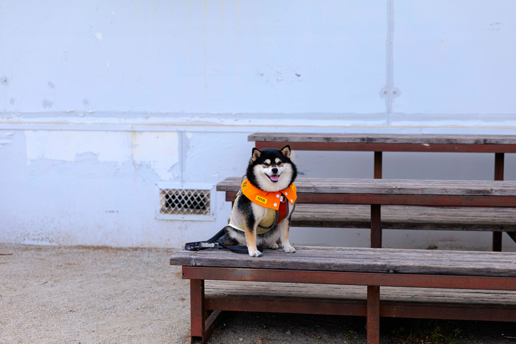 5_이상한 교도소.jpg