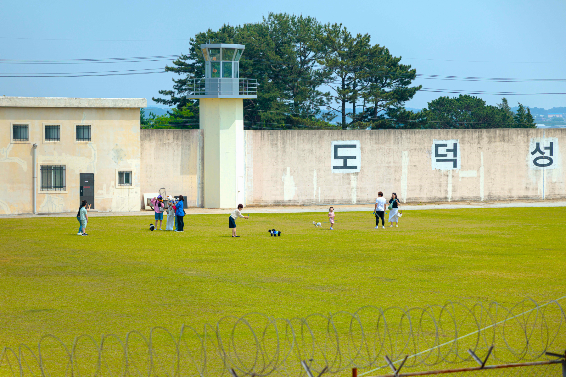 3_이상한 교도소.jpg