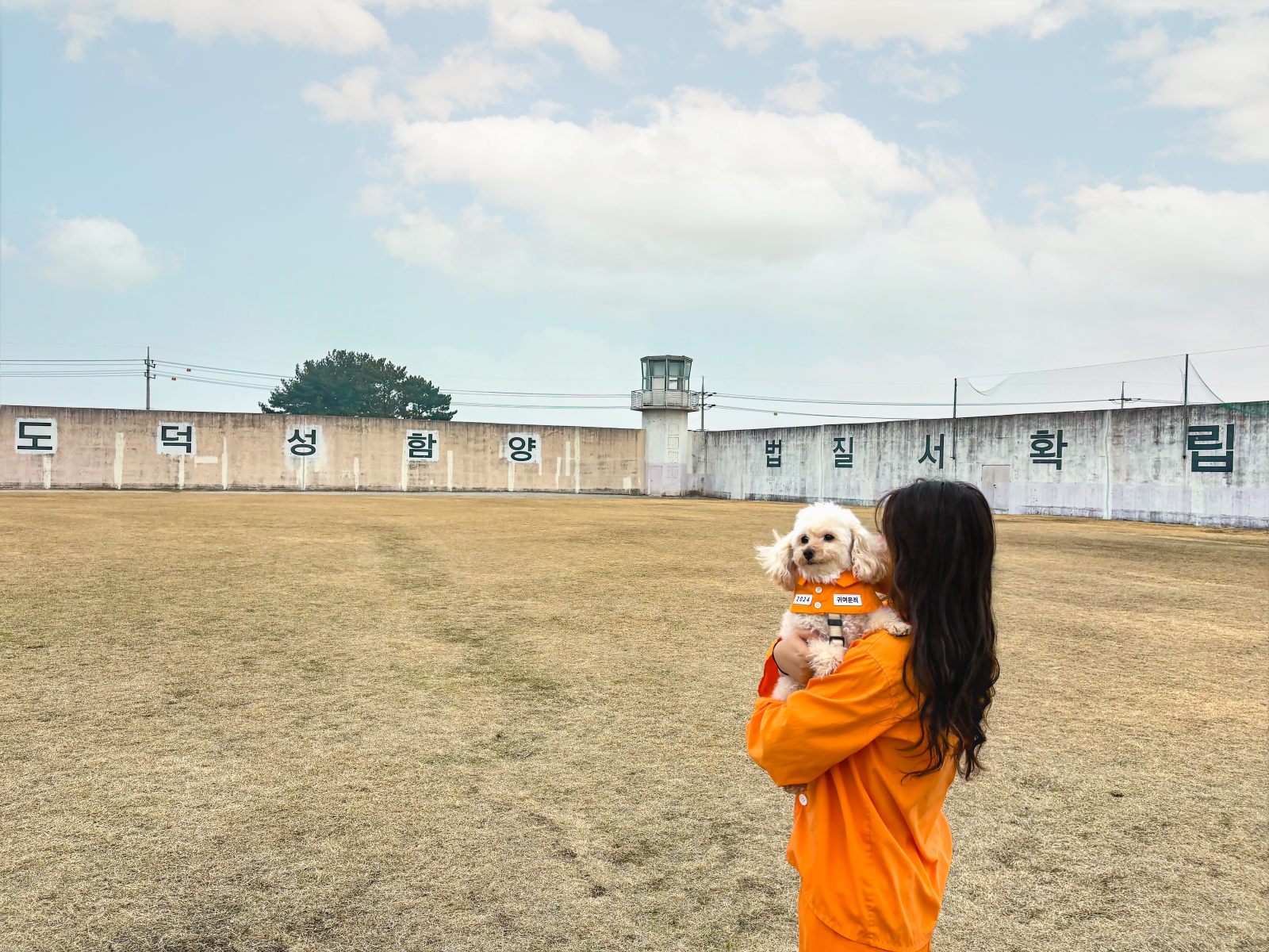 이상한 교도소 썸네일