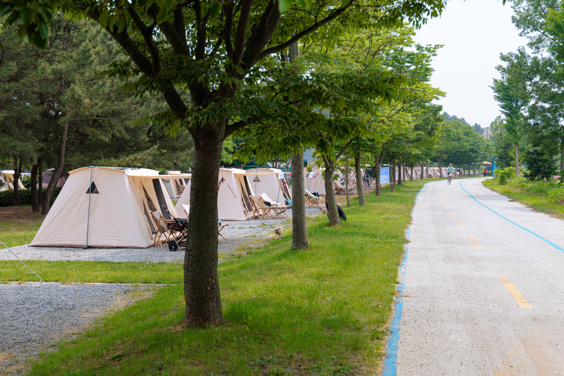 7_웅포곰개나루캠핑장.jpg