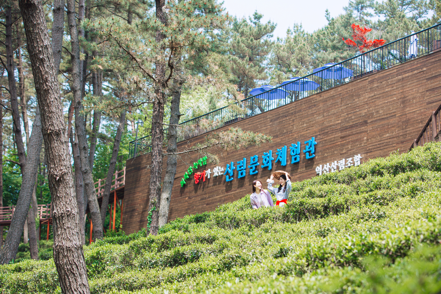 1_산림문화체험관.jpg