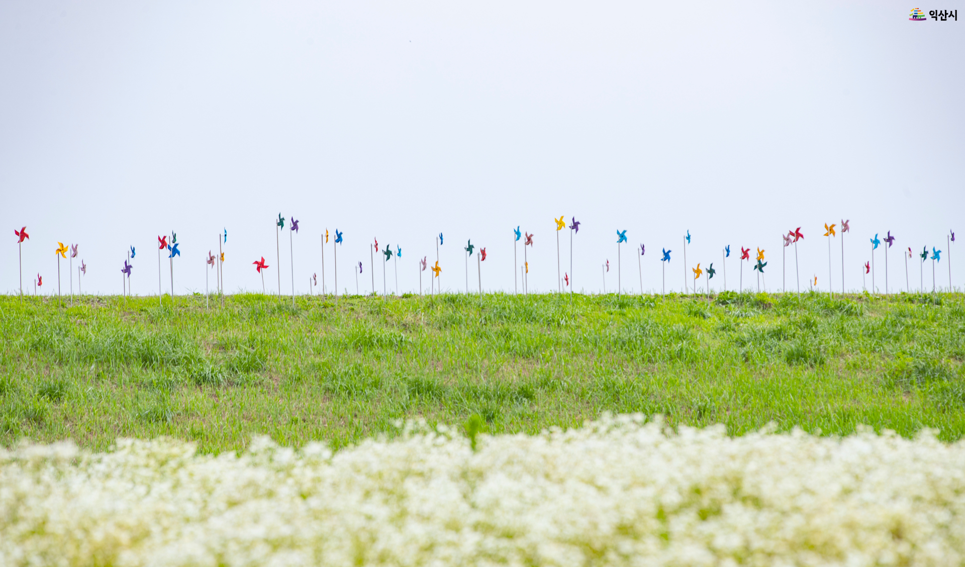 3_성당포구 바람개비길.jpg