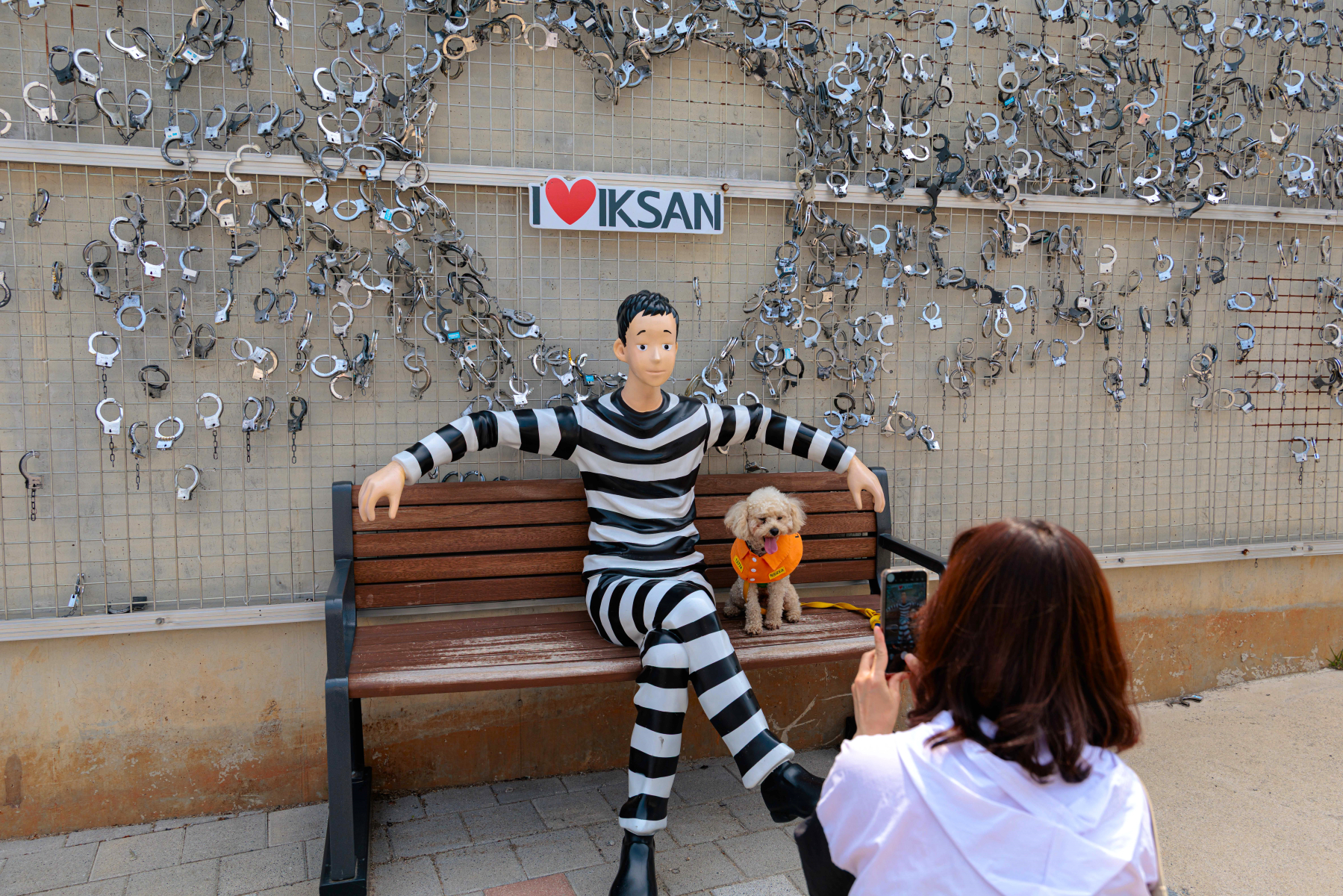 7_이상한 교도소.jpg