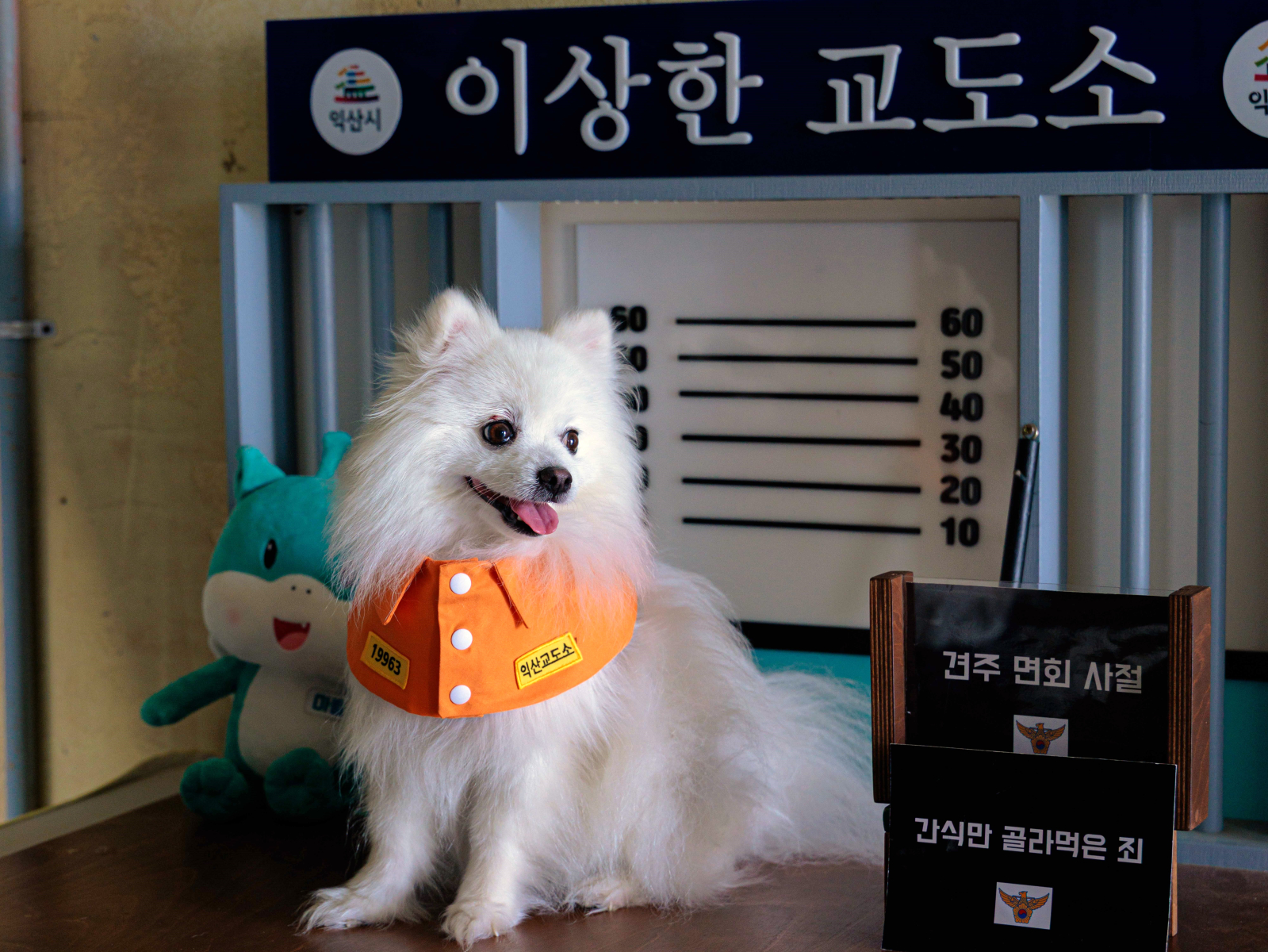 4_이상한 교도소.jpg