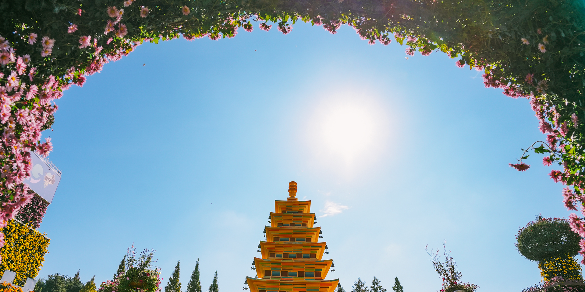 제22회 익산 천만송이 국화축제