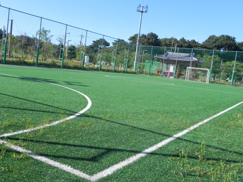 국가식품클러스터3호공원 풋살장