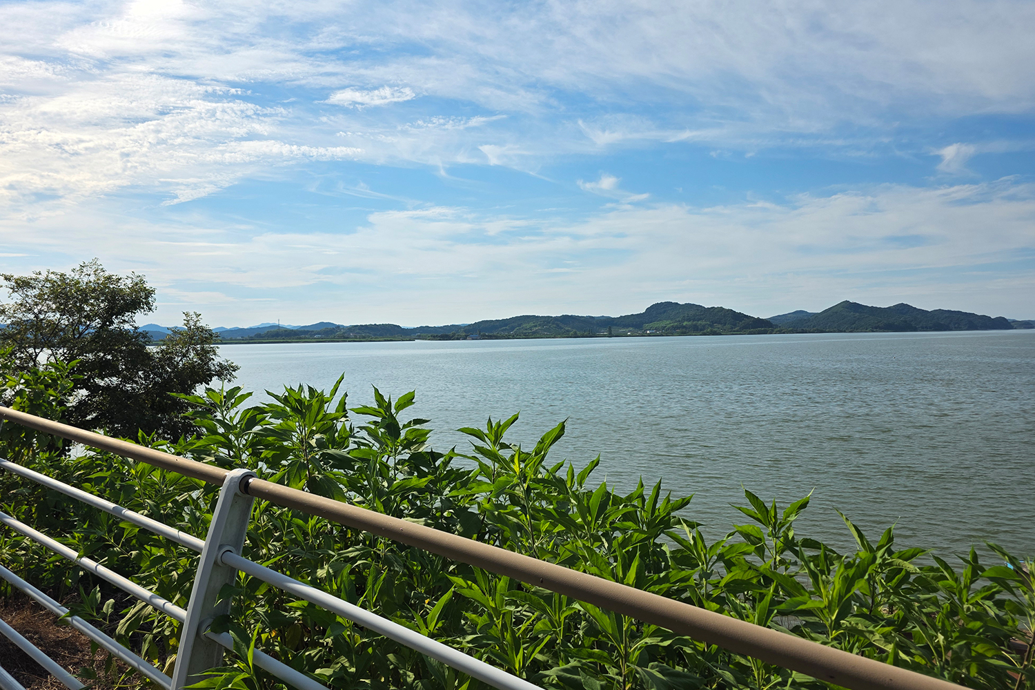 용왕사 금강정 자전거도로풍경 사진