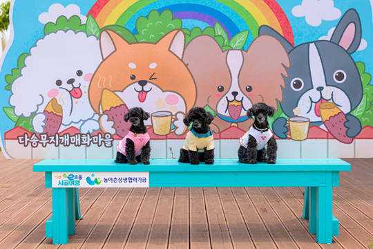 다송무지개매화마을