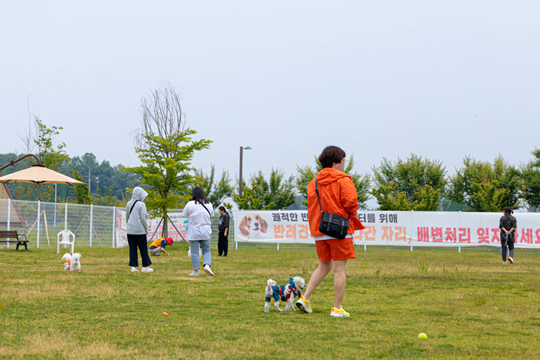 2025 익산 멍룡도그나루 캠프
