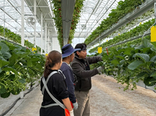 신규농업인 현장실습교육 지원 사진