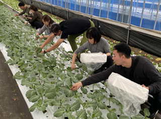 귀농체험(현장실습) 학교 사진