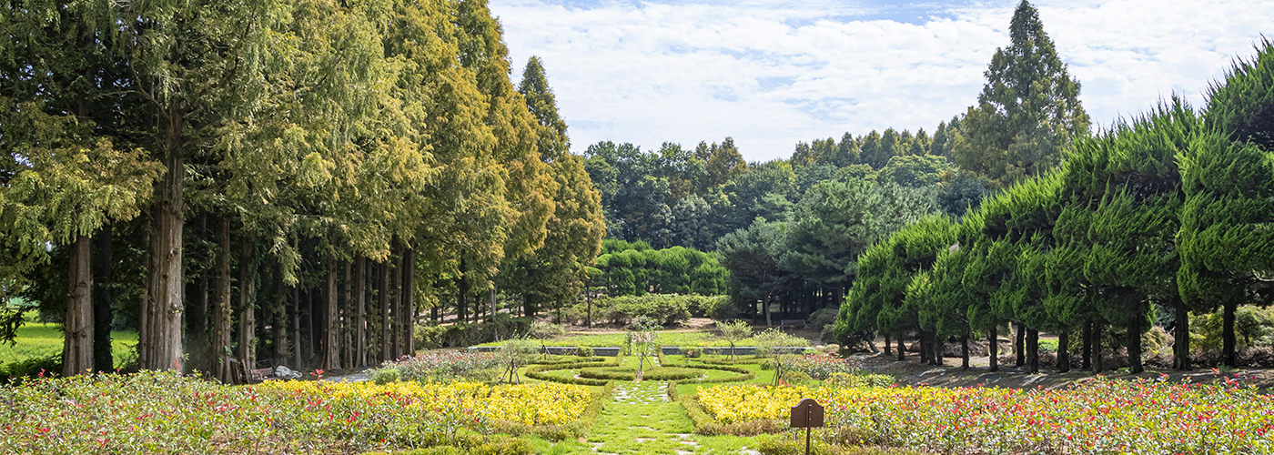 제7경 아가페정원