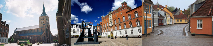 덴마크 오덴세시