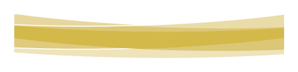 그래픽모티브컬러 예시이미지 노란색계열