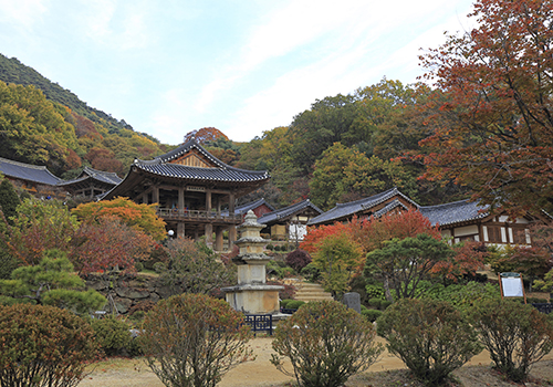 산사, 한국의 산지승원